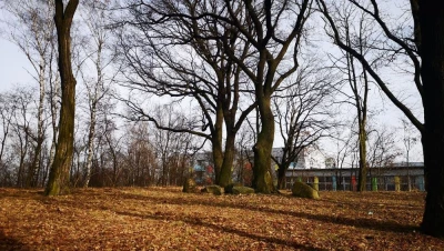 Wzgórze Galgenberg w Wodzisławiu Śląskim